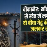 बीकानेर: शॉर्ट सर्किट से खेत में लगी आग, दो बीघा गेहूं की फसल जलकर राख