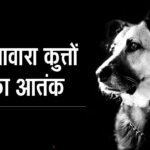 आवारा कुत्तों का आतंक, 3 वर्षीय मासूम को नोचा, गंभीर हालत में पीबीएम में इलाज जारी