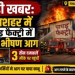 बड़ी खबर: गंगाशहर में पापड़ फैक्ट्री में लगी भीषण आग, तीन दमकलें मौके पर पहुंचीं